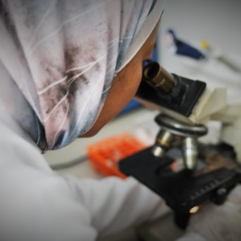 The laboratory
